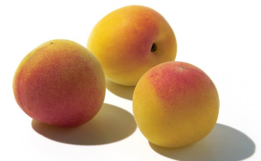 Ripe and juicy ume puree 200g x2packs