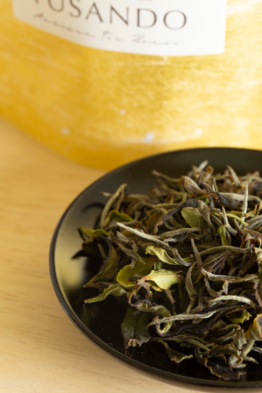Naturally Wilted White Tea (Leaf 10g) YUSANDO Signature Collections