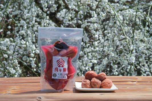 Umezuke - Prune ume marinée avec shiso 350g