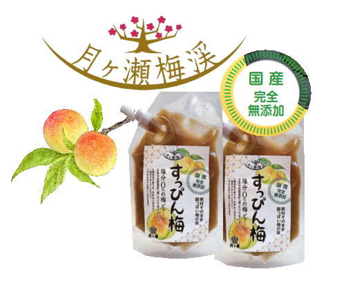 Purée d'ume mûre et juteuse 200g x2packs